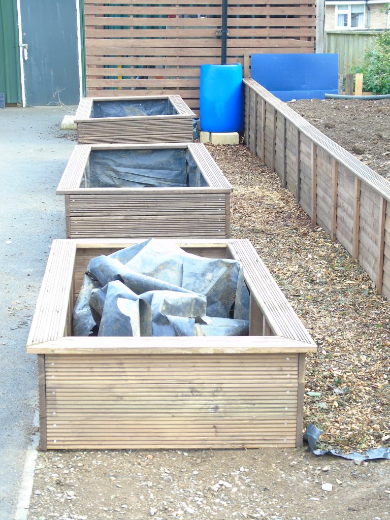 Raised beds for young people to learn new gardening skills