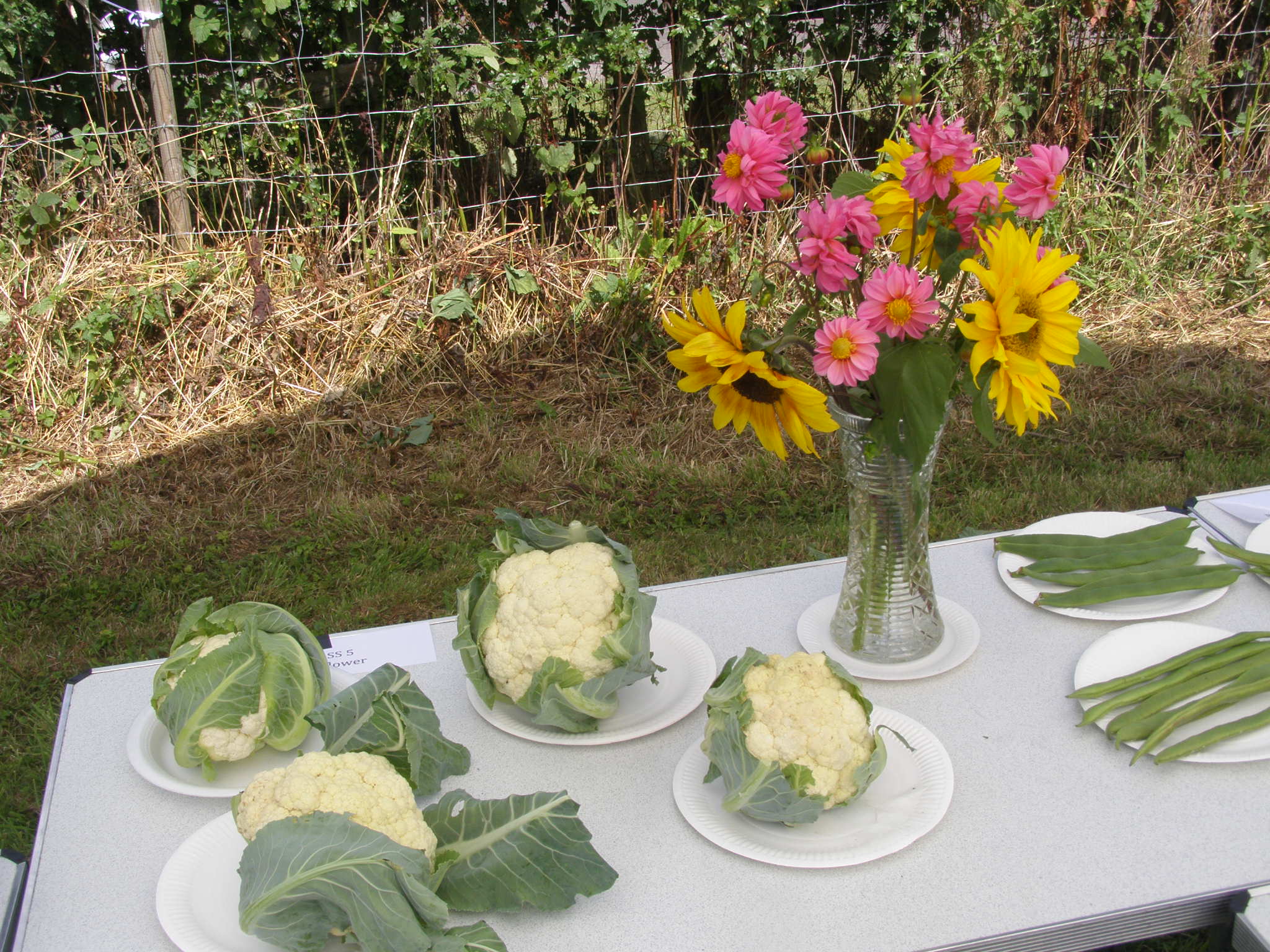 Best Vegetable Competition 2
